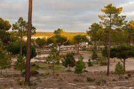 Just an hour's drive from lisbon, comporta retreat is made up of 28 lots that align. Real Estate Listings Comporta Houses Apartments Lands For Sale Comporta