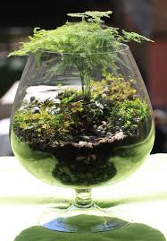 Modern Unique Diy Terrarium Succulent Ideas Glassterrariumideas Howtomakeaterrarium Terrariumreptile Reptileterr Terrarien Miniaturgarten Gartenterrarium