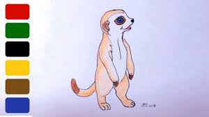 How To Draw A Baby Meerkat Youtube In this art video i show you how to draw a cute meerkat for kids simple and easy. how to draw a baby meerkat
