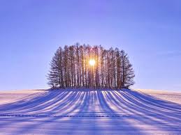 This is the astronomical first day of winter in the northern hemisphere and the shortest day of the year. Three Ways To Celebrate Winter Solstice 2016 Isthmus Madison Wisconsin