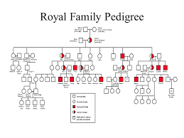 Pedigree Chart Royal Family Hemophilia Bedowntowndaytona Com