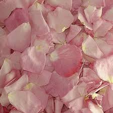 Bridal Pink Fd Rose Petals 30 Cups Freeze Dried Rose Petals Dried Rose Petals Rose Petals