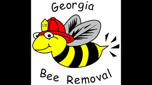 Лучший борьба с вредителями в hazlehurst, джорджия. Georgia Bee Removal Bee Removal Honey Bees