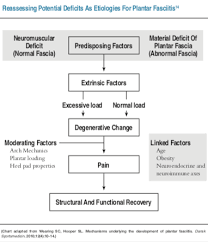 rethinking the treatment algorithm for plantar fasciitis