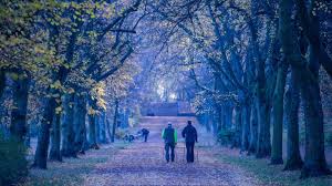 Läuft der september 2018 heiß? Herbst Bleibt Grau In Grau Bis Bald Der Erste Frost Kommt B Z Berlin