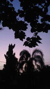 Matahari terbenam langit alam malam senja contoh gambar siluet. Before 6 Am Pemandangan Fotografi Alam Foto Alam