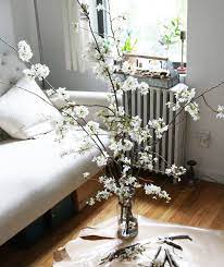 We did not find results for: Diy The Magical Powers Of White Cherry Blossoms Gardenista