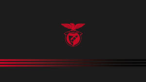 Sport lisboa e benfica wallpaper. Zaynof Sl Benfica 2560x1440 Wallpaper Teahub Io