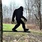 Bigfoot Hunt Orienteering