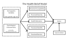 A previous attack of an infectious disease produces a more or less permanent protection against subsequent infection. Health Belief Model Wikipedia
