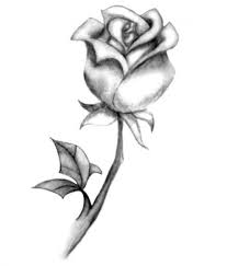 25 gambar lukisan bunga sederhana lukisan bunga simple dan cantik cikimm com download lukisan bunga sederhana woww menggambar bunga lukisan bunga painting. Gambar Lukisan Bunga Dari Pensil