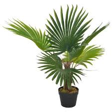 What marketing strategies does pslme use? Vidaxl Kunstliche Pflanze Palme Mit Topf Grun 70 Cm Vidaxl De