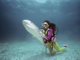 A university professor possessing a ph.d. Top Six Wildlife Careers That Earn More Than 50 000