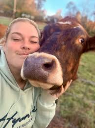 Cows near Dresser Hill bring joy