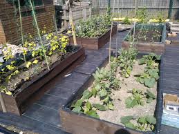 Single mum andrea pugh is creating a £25 allotment from loo roll and coffee sacks to keep her two. How To Build Raised Beds And Keep A Weed Free Low Maintenance Allotment Or Vegetable Plot Dengarden
