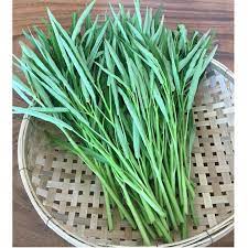 Hạt Giống Rau Muống Nhật Bản Amano Hfseeds