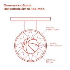 Basketball Rim To Basketball Ratio Basketball Rim Basketball Rims Basketball