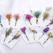 Maybe you would like to learn more about one of these? 1pcs Gypsophila Dried Flower Paper Invitation Greeting Card Handmade Dry Flower Bouquet Wedding Party Invitation Card Gifts Hot Promo Fd97d5 Goteborgsaventyrscenter