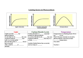 Image Result For Limiting Factors Of Photosynthesis Graphs Photosynthesis Biology Worksheet Interactive Science Notebook