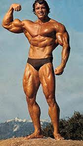 Aesthetics and bodybuilding are no different, aesthetics is just a part of bodybuilding that is followed to achieve a lean but muscular body . Aesthetics In Bodybuilding Fnar 264 406 Art Design Digital Culture
