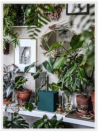 We have put together a list of ten. Home Sweet Home Au Milieu Des Plantes Grimpantes Et Retombantes Plumetis Magazine Bedroom Plants Indoor Garden Design Rustic Bedroom Design