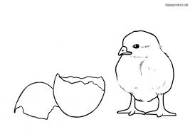 Huhn Malvorlage Kostenlos Huhner Ausmalbilder