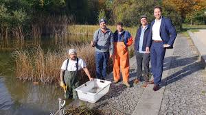 Haar: Hechte, Krebse und Co.: So wird der Eglfinger Weiher zu wichtigem  Artenschutzprojekt