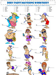 Human body parts body parts list with brief explanation Body Parts Vocabulary Worksheet