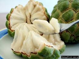 Apples come in thousands of varieties and they are one of the most popular fruits around the world. Sugar Apple Alchetron The Free Social Encyclopedia