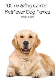100 Amazing Golden Retriever Dog Names Http Www Dogvills Com