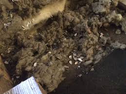 Image result for site:byggahus.se gavelventilation