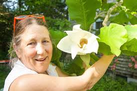 Gardens of Love: Nancy Weaver