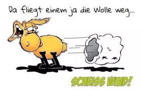 Sturm lustige bilder und foto, videos und sprüche und es kommen täglich neue lustige facebook 10 ganz lustige bilder von menschen und tieren im sturm. Sign In Lustige Geburtstagszitate Witzige Spruche Lustige Spruche