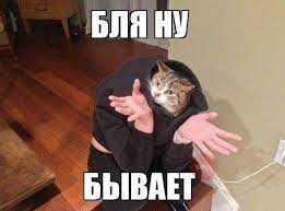 живность :: на случай важных переговоров :: котэ (прикольные картинки с  кошками) / смешные картинки и другие приколы: комиксы, гиф анимация, видео,  лучший интеллектуальный юмор.