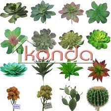 Check spelling or type a new query. Hot Sale Artificial Succulents Plants Succulent Faux Mini Cactus Ornamental Greenery Bonsai For Home Decoration Buy Artificial Succulents For Sale Christmas Cactus Plant Mini Cactus Garden Product On Alibaba Com