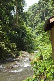 Zobrazit všechny recenze (7) zařízení tekaan telu waterfall. Tekaan Telu Waterfall Tomohon Destimap Destinations On Map