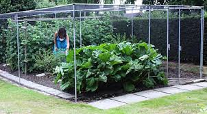 Best Bird Netting 14 X 45 Ft Bird Net Smart Way To Protect Fruit Trees Bushes Birdsideas Fruit Cage Vegetable Garden Garden Netting