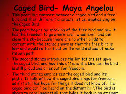Ppt Caged Bird Maya Angelou Powerpoint Presentation Free Download Id 517064