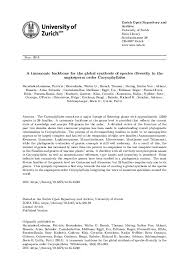 Image result for Plinthus cryptocarpus