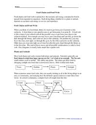 Food chains and food websdraft. Food Chains And Food Webs Worksheet For 6th 9th Grade Lesson Planet