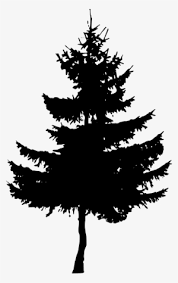 See full list on easylinedrawing.com Pine Tree Silhouette Png Download Transparent Pine Tree Silhouette Png Images For Free Nicepng