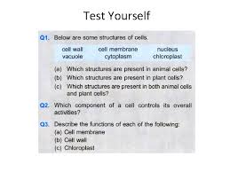 We did not find results for: Animal And Plant Cells Lesson 2 Structure Of