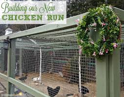 Plus, if you aren't a crafty person, this duck house can be purchased as well. How To Build A Predator Proof Chicken Run Fresh Eggs Daily