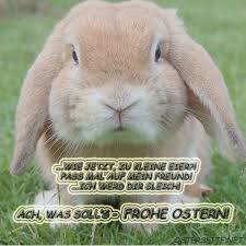 Wer die bilder etwa per whatsapp vom handy aus verschicken will, kann sich das gespeicherte lieblingsmotiv selbst per. Ostergrusse Bilder Fur Whatsapp Und Email