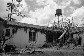 Deadly Secrets: The Lost Children Of Dozier (Tv Movie 2016) - Imdb