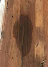 If you have none of these products on hand, set paper towels on the floor to soak up any wet oil while you make a trip to the store. Mum Uses Washing Up Liquid And A Hairdryer To Remove Oil Stain From Her Wooden Floorboards In Minutes