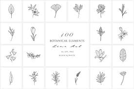 For your convenience, there is a search service on the main page of the site that would help you find images similar to hand drawn flowers png with nescessary type and size. Hand Drawn Flowers Set Png Flowers Vector Floral Ornament Etsy