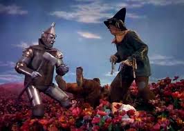 It was one of the very first full length pictures along with few others, such as gone with the wind (1939) and the adventures of robin hood (1938), to be shot in three strip technicolor instead of in all black and white or two strip technicolor, the film was directed by victor fleming.the songs were written by harold arlen and e.y. The Poppy Field Wizard Of Oz Movie Poppy Wizard Of Oz Flowers Field Hats Hd Wallpaper Peakpx