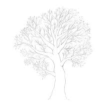 Drawing of a tree for kids and beginners: Easy How To Draw A Tree With Leaves Novocom Top