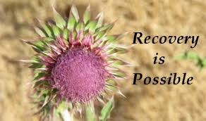 Post image for Opiate Addiction and Substitution Treatment